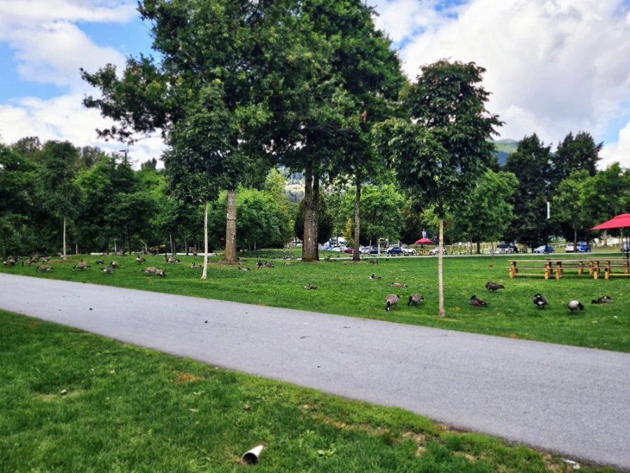 SE-ed228fe2-65d1-11ef-9046-5d4274a6c680.jpg?type=w1