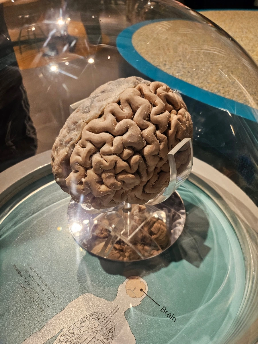 20240920%EF%BC%BF104830.jpg?type=w1