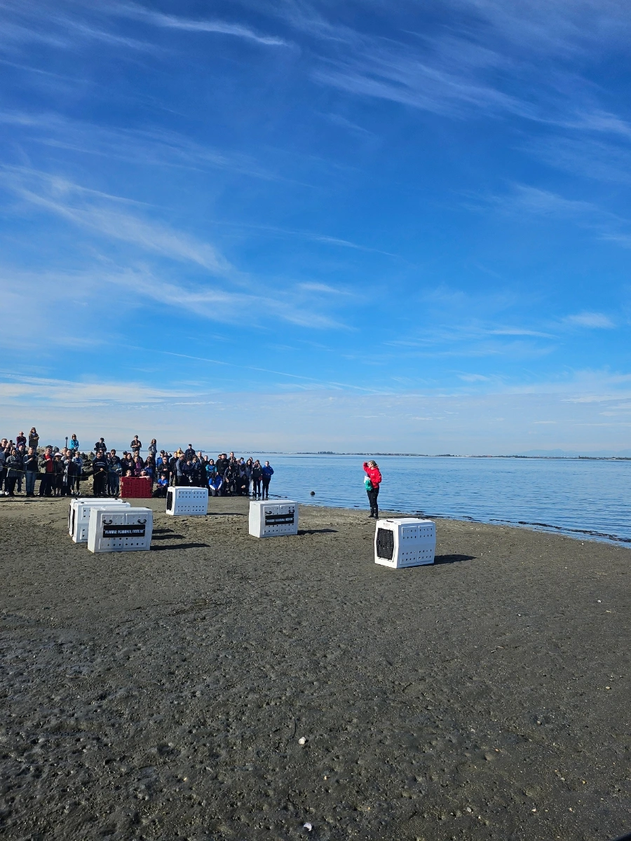 20241013%EF%BC%BF121820.jpg?type=w1