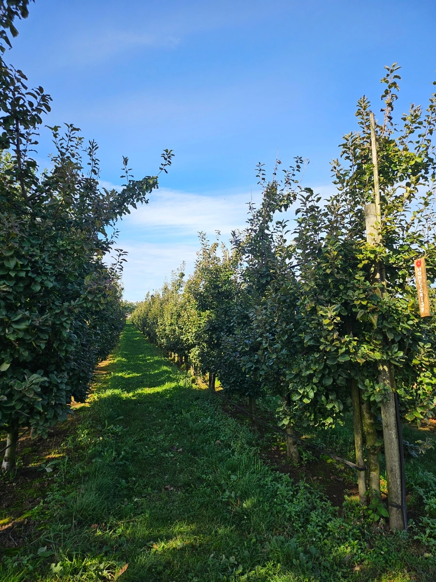 20240930%EF%BC%BF111537.jpg?type=w1