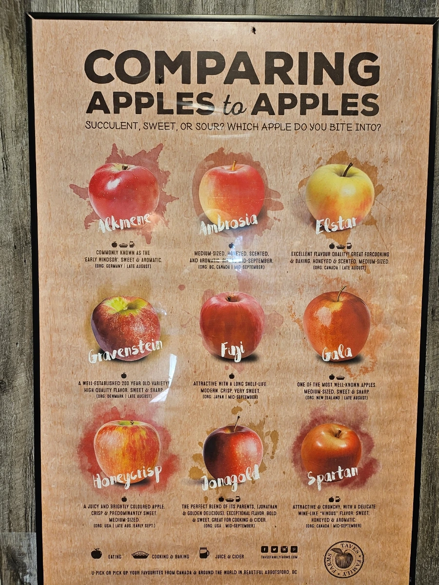 20240930%EF%BC%BF114753.jpg?type=w1