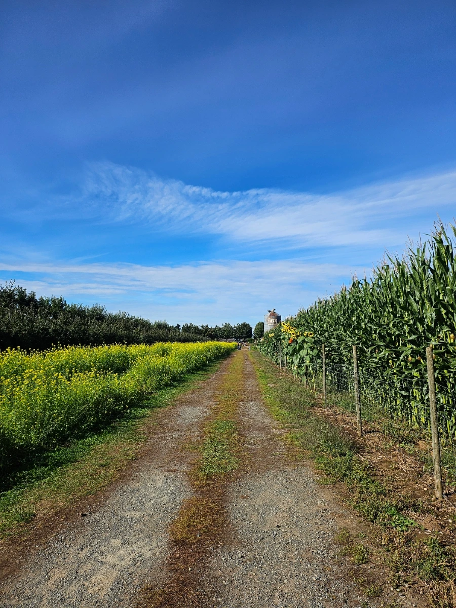 20240930%EF%BC%BF111735.jpg?type=w1