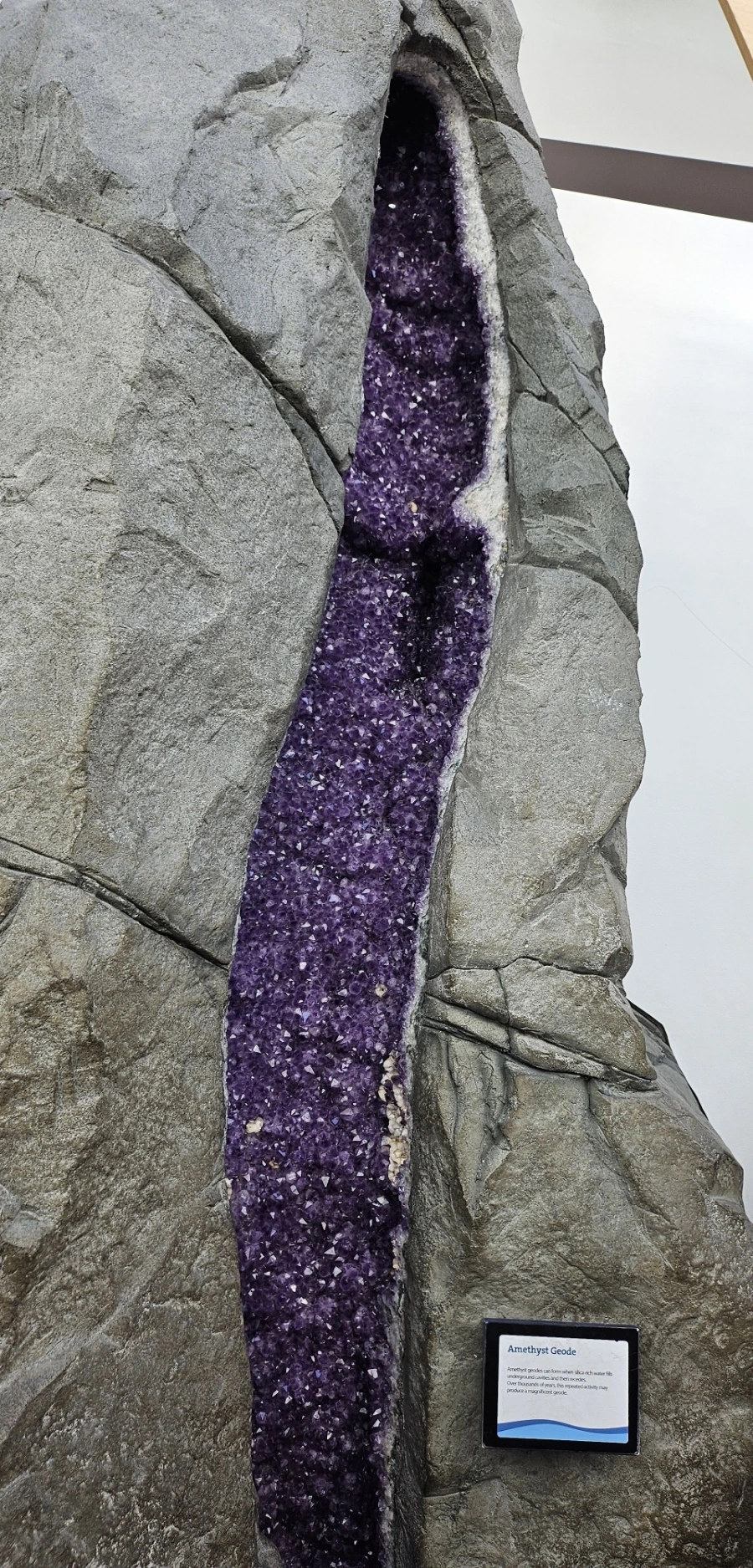 1726872637289.jpg?type=w1