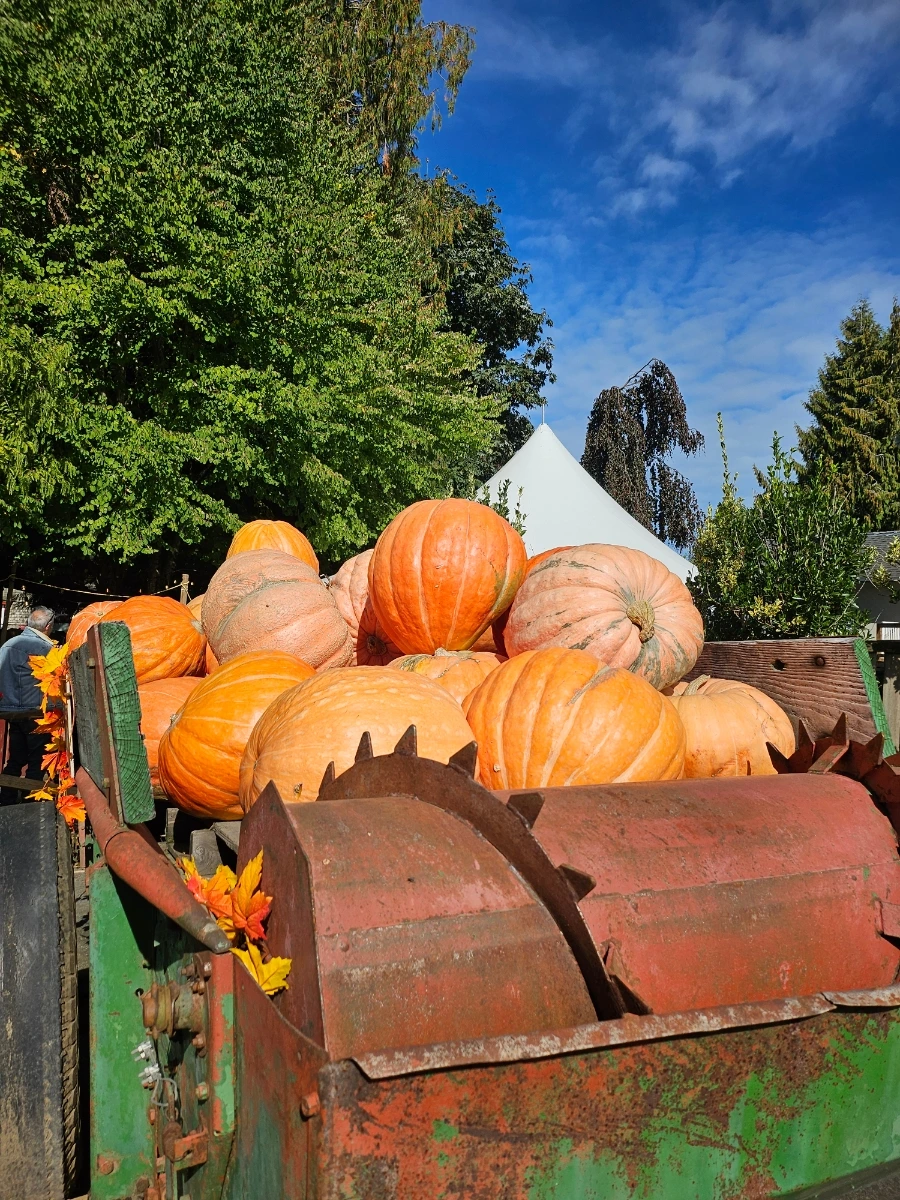 20240930%EF%BC%BF115235.jpg?type=w1