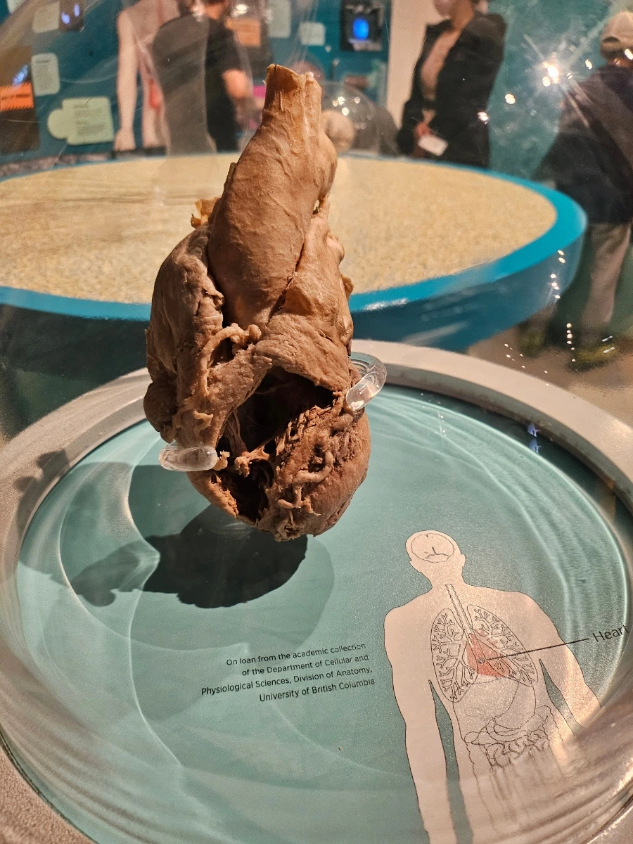 20240920%EF%BC%BF104844.jpg?type=w1