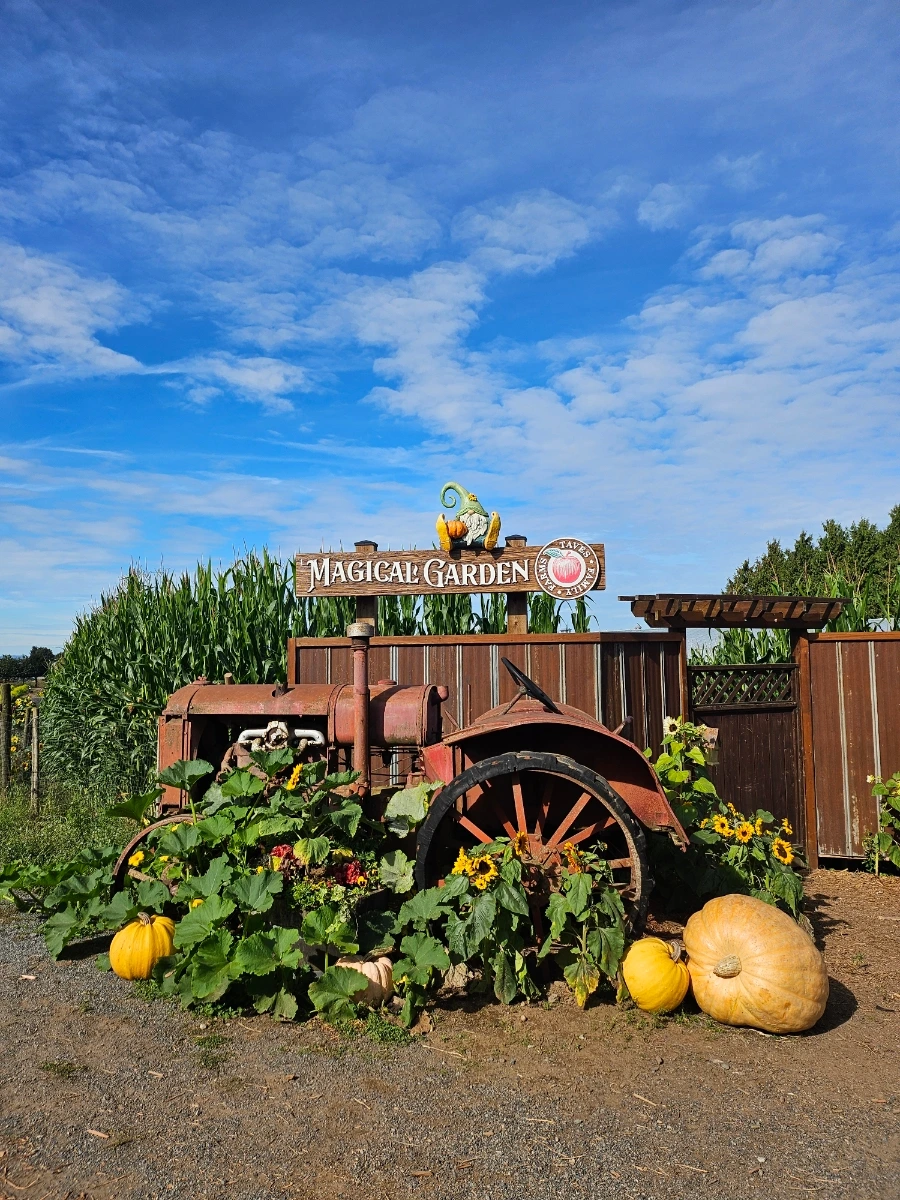 20240930%EF%BC%BF113431.jpg?type=w1