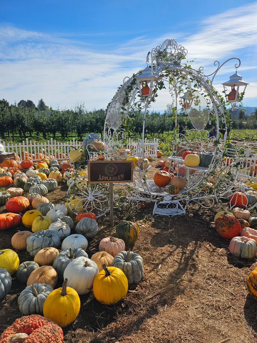 20240930%EF%BC%BF112524.jpg?type=w1