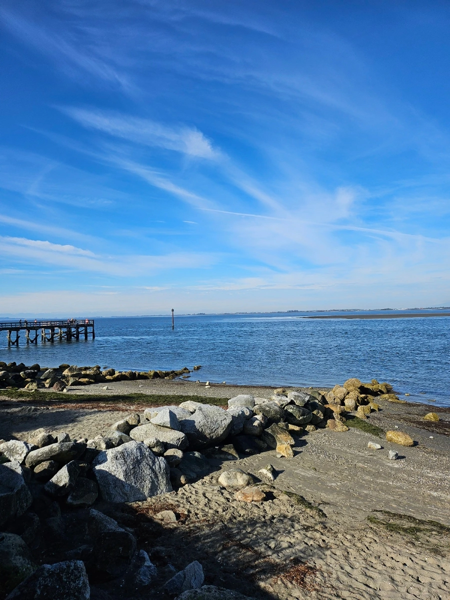 20241013%EF%BC%BF111908.jpg?type=w1