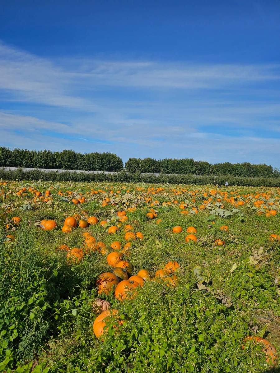 20240930%EF%BC%BF111924.jpg?type=w1