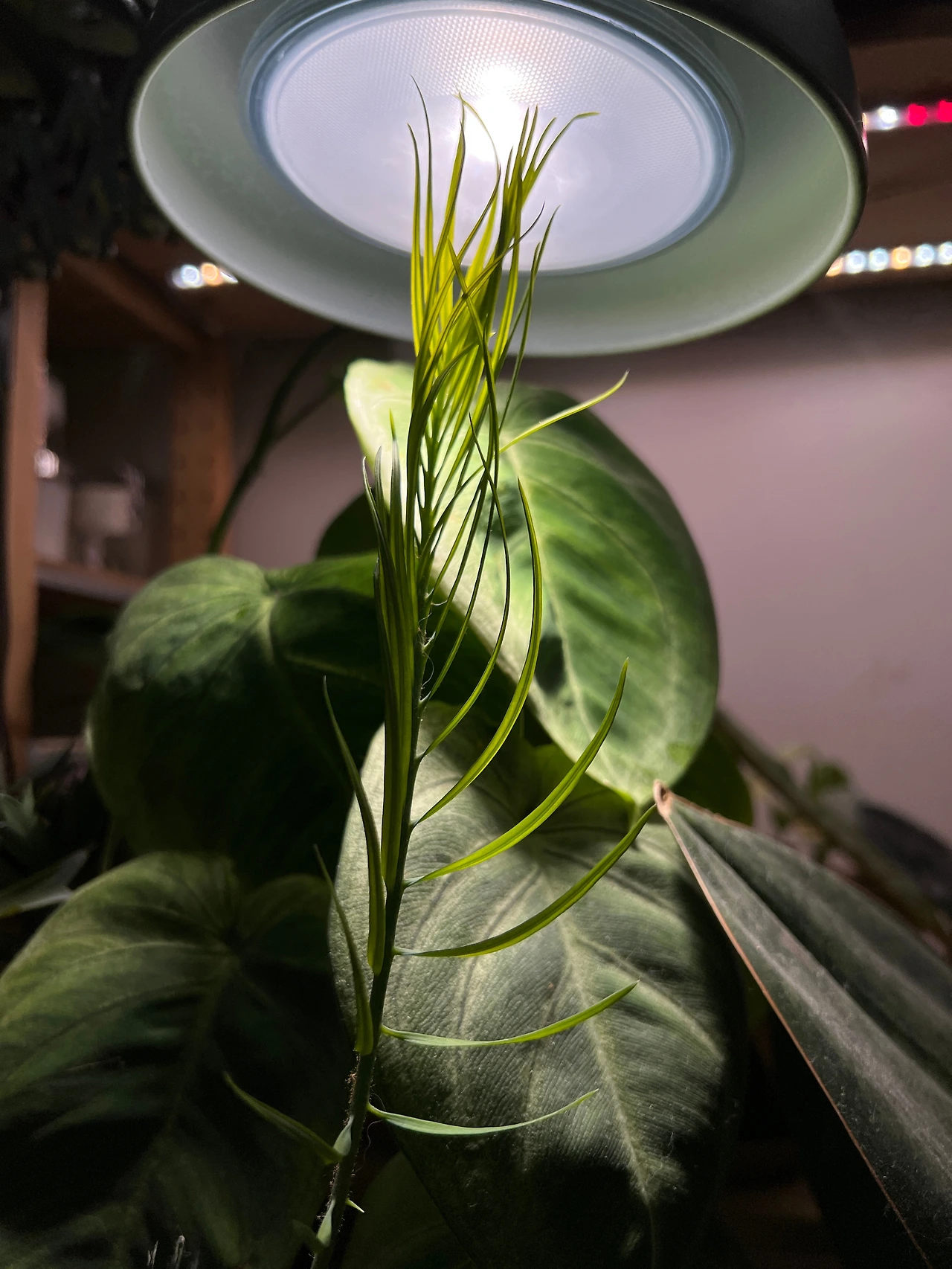 KakaoTalk_Photo_2022-07-23-16-16-27 004.jpeg