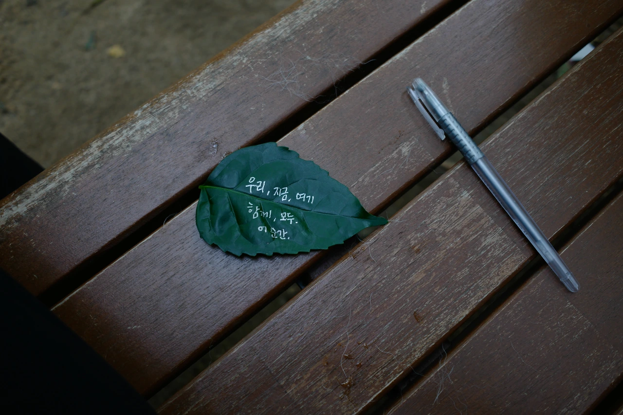 L1020162 복사본.JPG