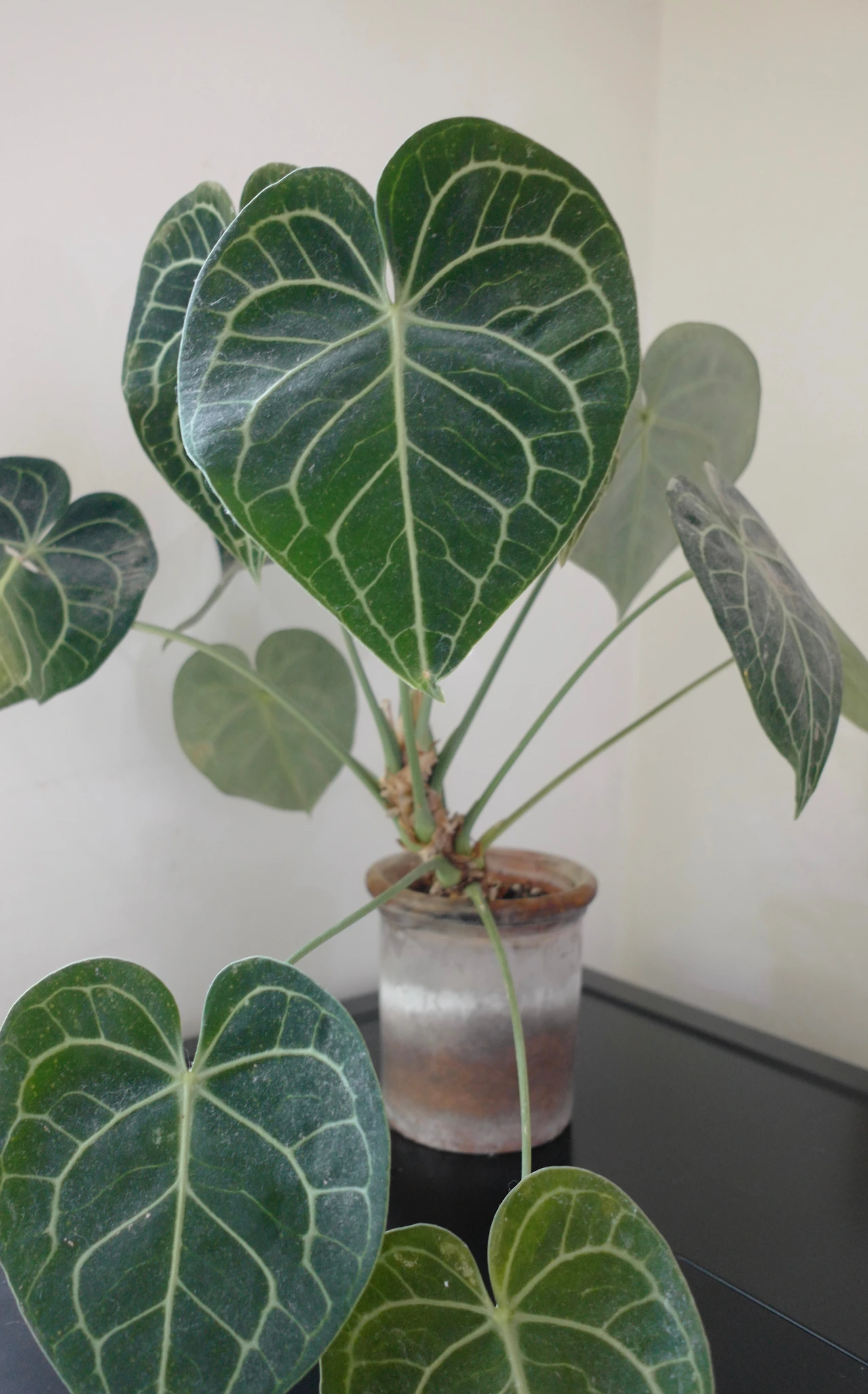 KakaoTalk_Photo_2022-08-04-17-17-31 002.jpeg