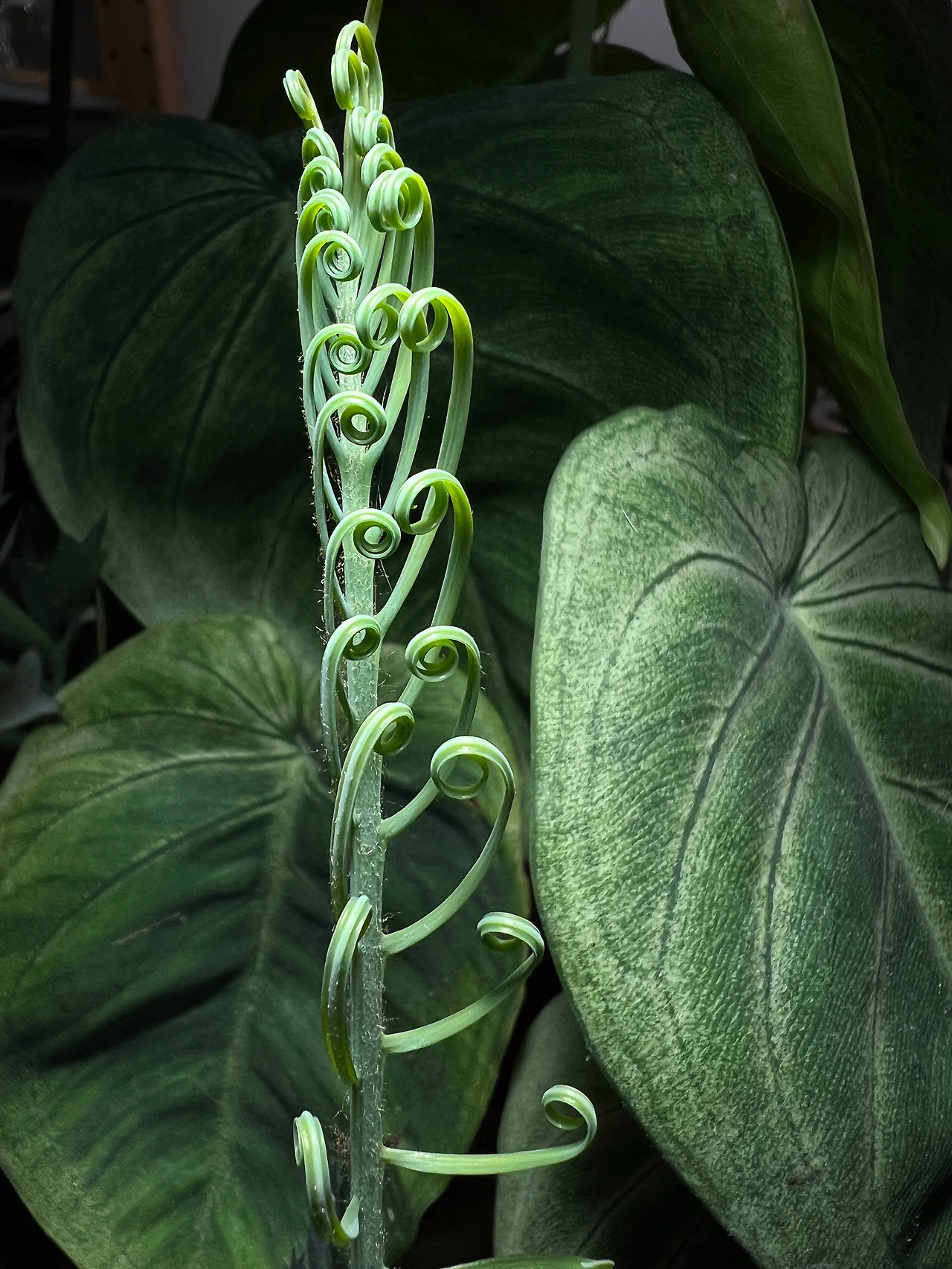 KakaoTalk_Photo_2022-07-23-16-16-27 003.jpeg