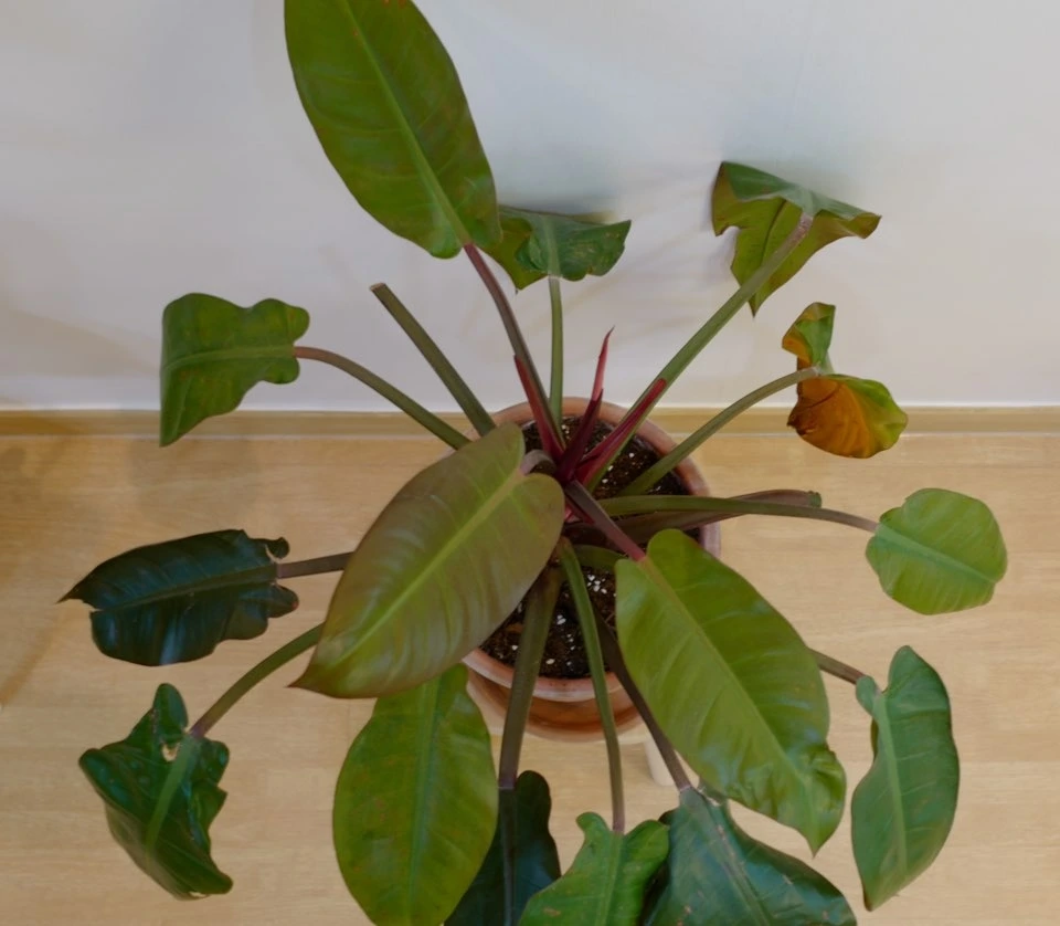 KakaoTalk_Photo_2026-01-13-17-03-39 002.jpeg