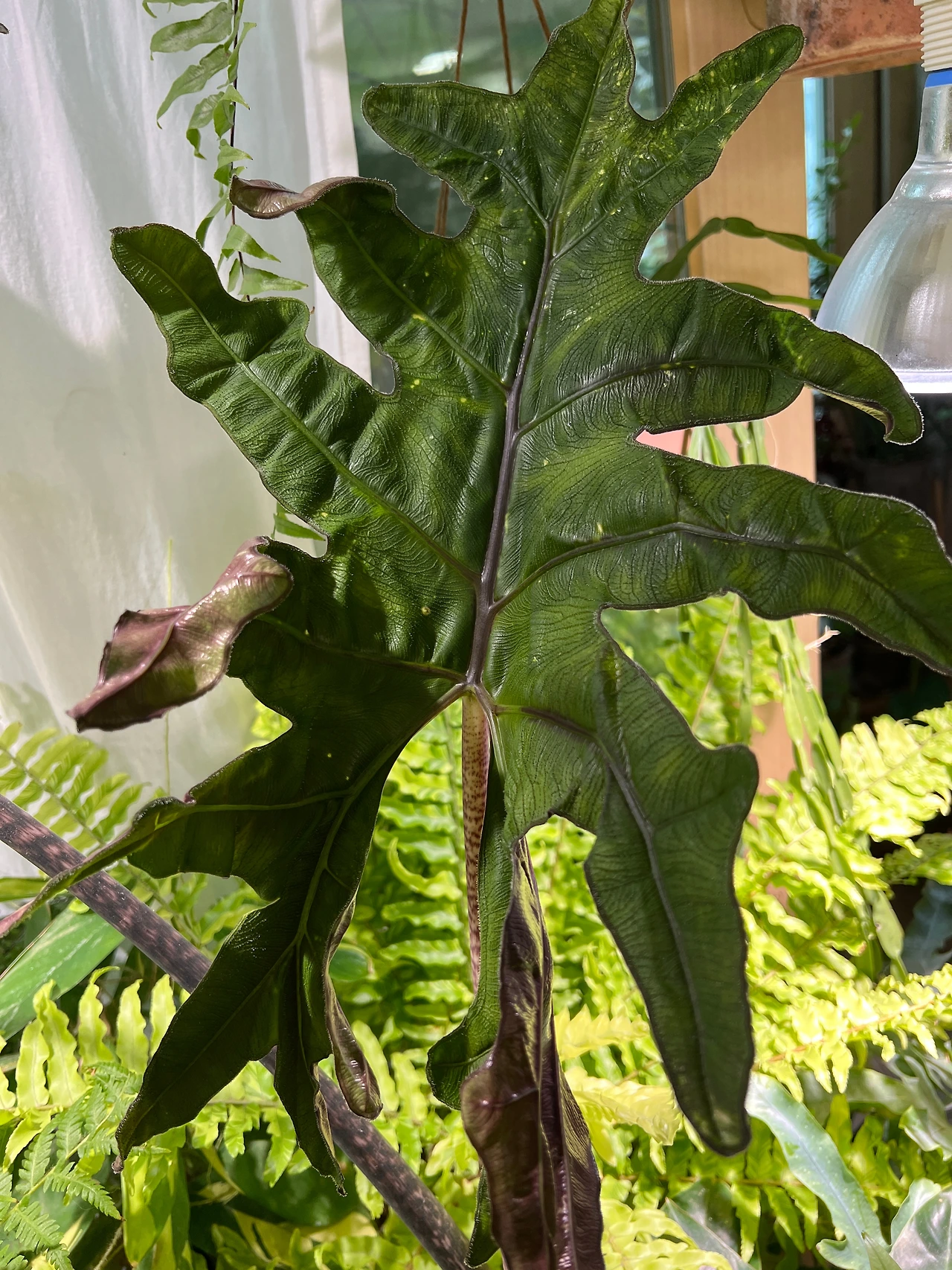 KakaoTalk_Photo_2022-07-23-16-16-54 003.jpeg