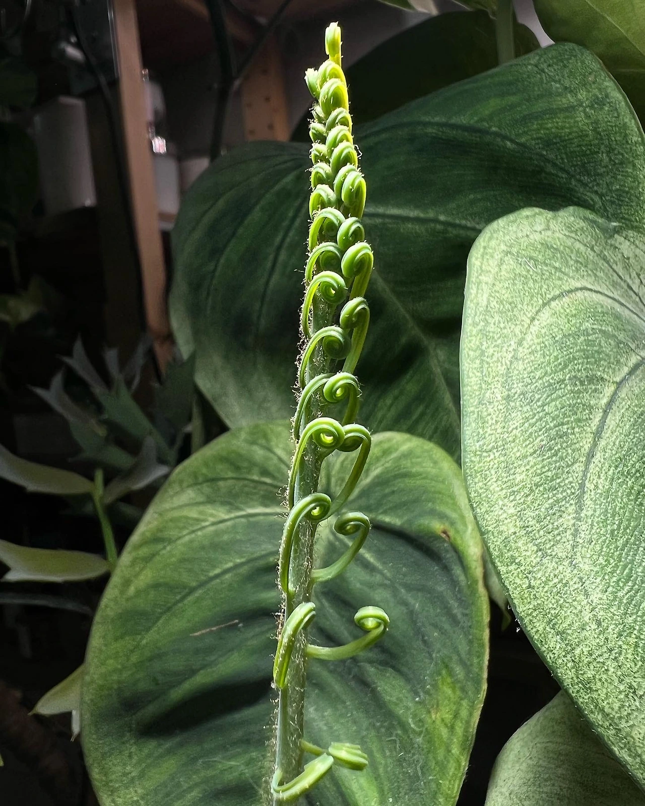 KakaoTalk_Photo_2022-07-23-16-16-27 002.jpeg