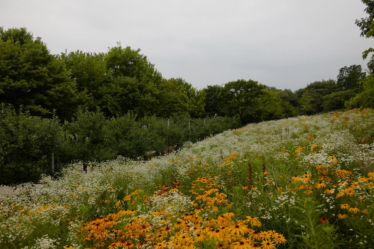 L1020179 복사본.JPG