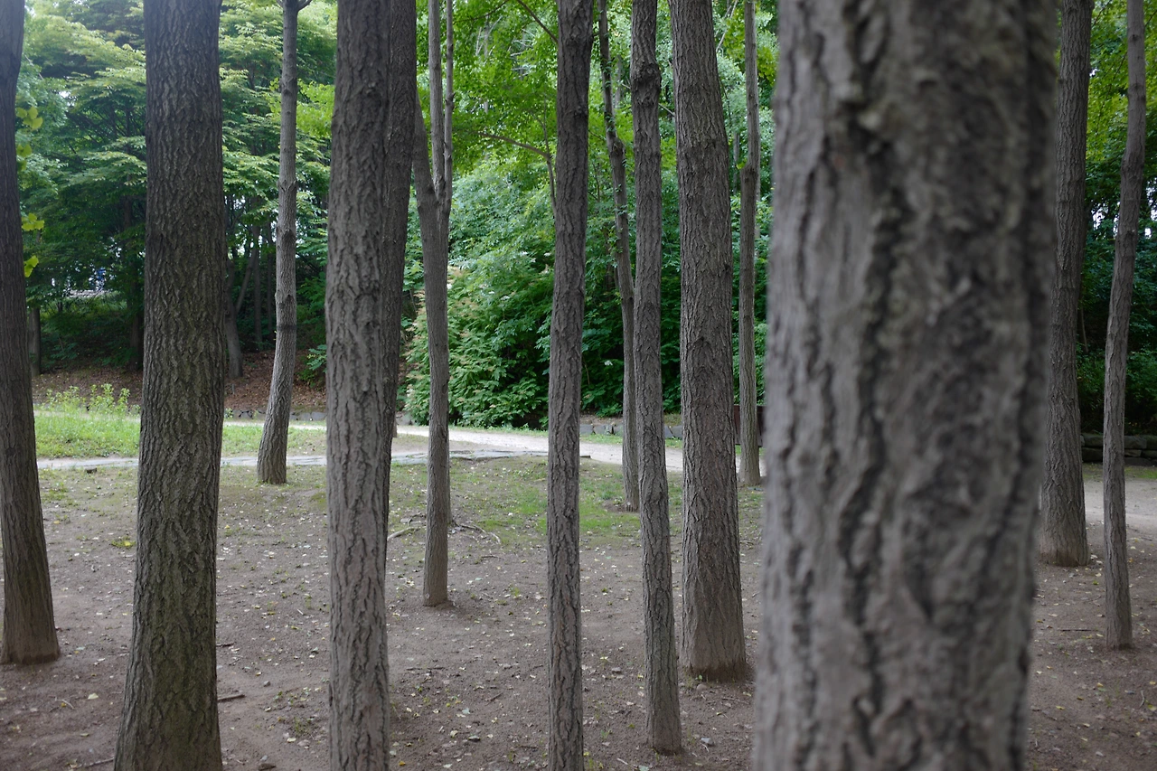 L1020154 복사본.JPG