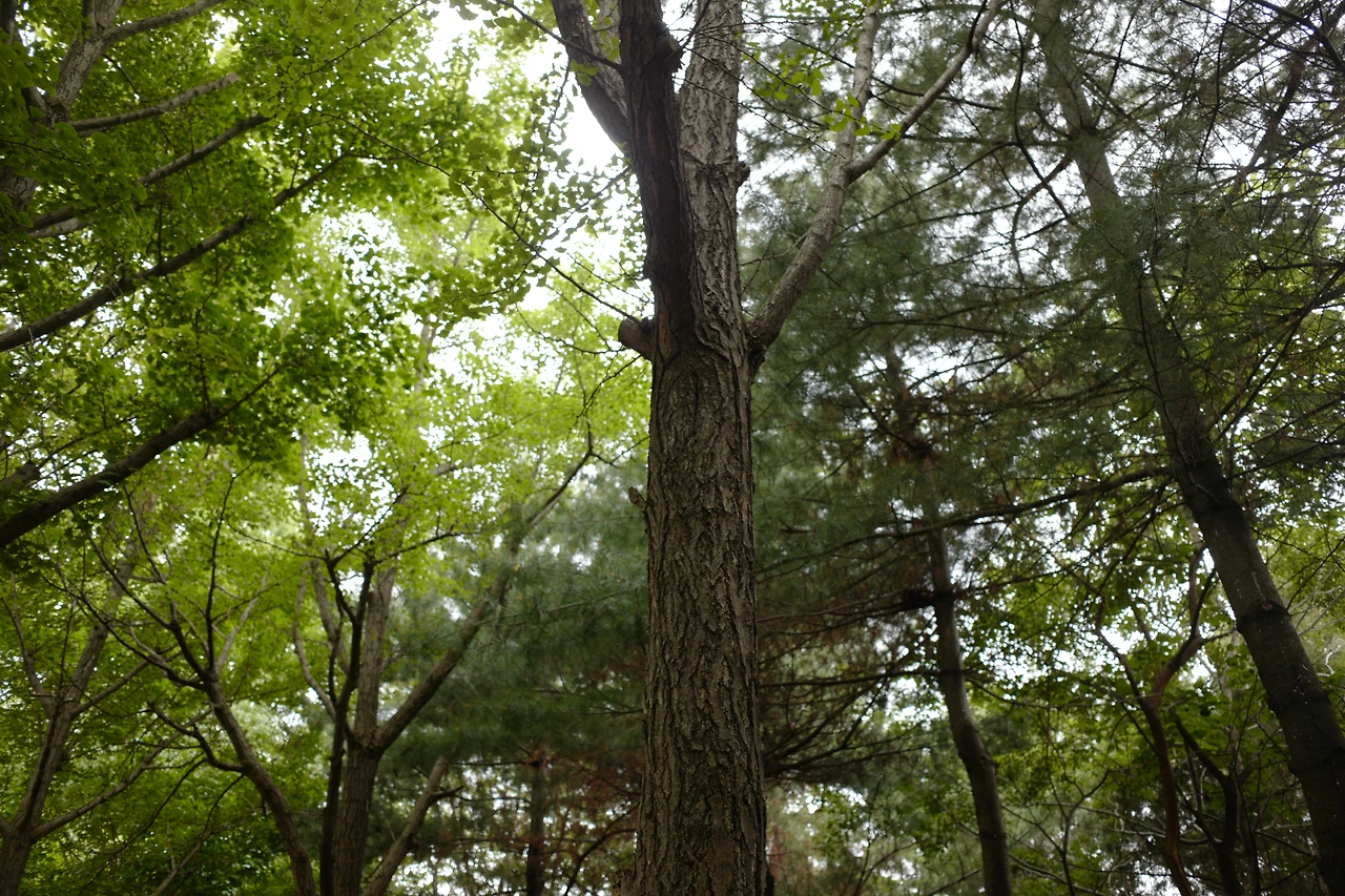 L1020140 복사본.JPG