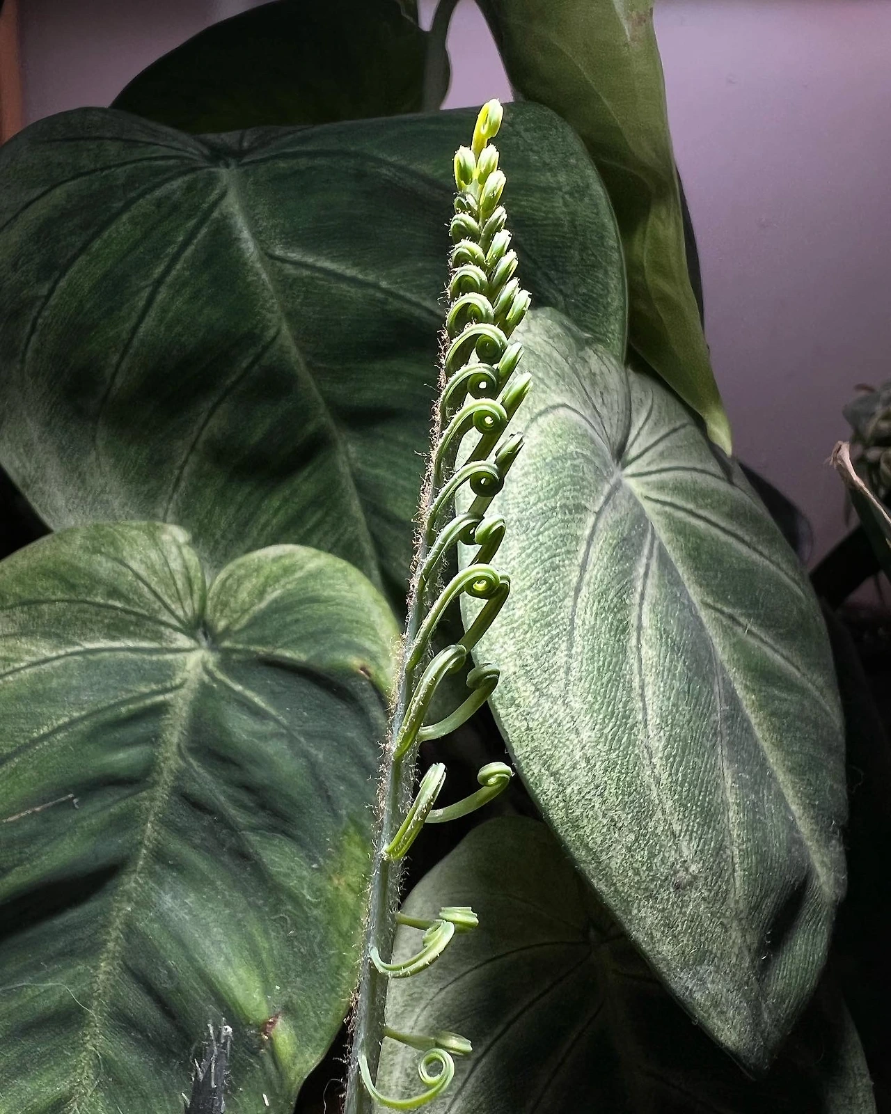 KakaoTalk_Photo_2022-07-23-16-16-27 001.jpeg