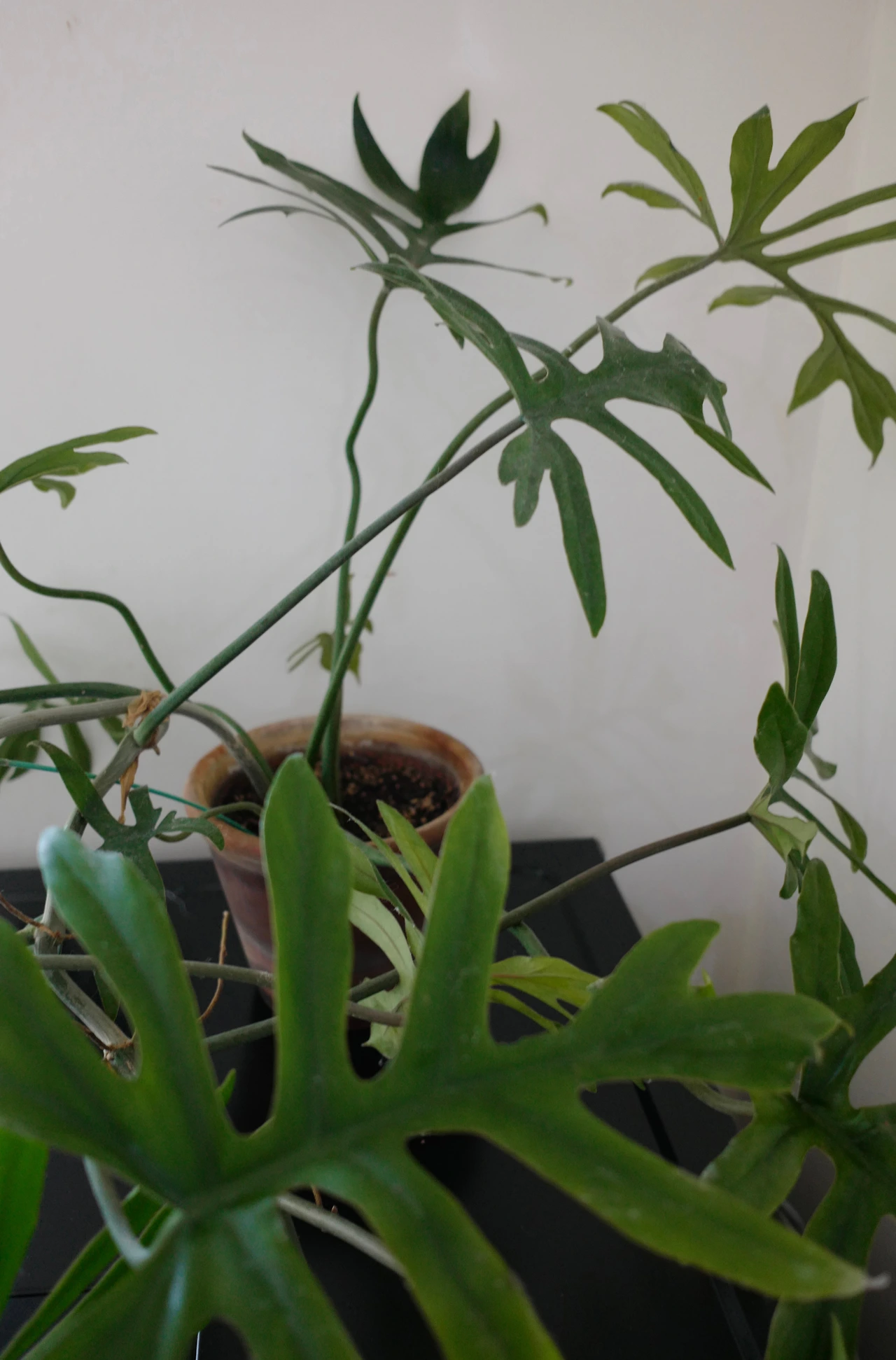 KakaoTalk_Photo_2022-08-04-17-17-30 001.jpeg