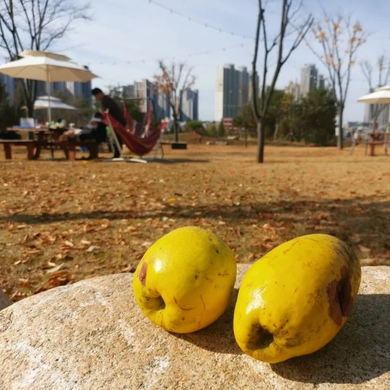 IMG%EF%BC%BF20211107%EF%BC%BF134419%EF%BC%BF133.jpg?type=w773