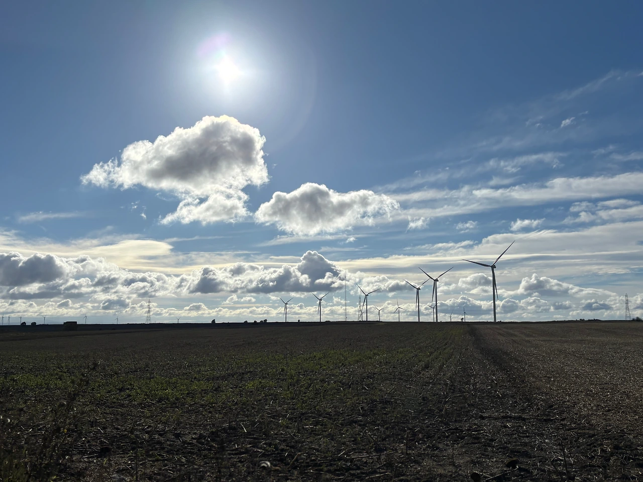 혼타나스 4.jpeg