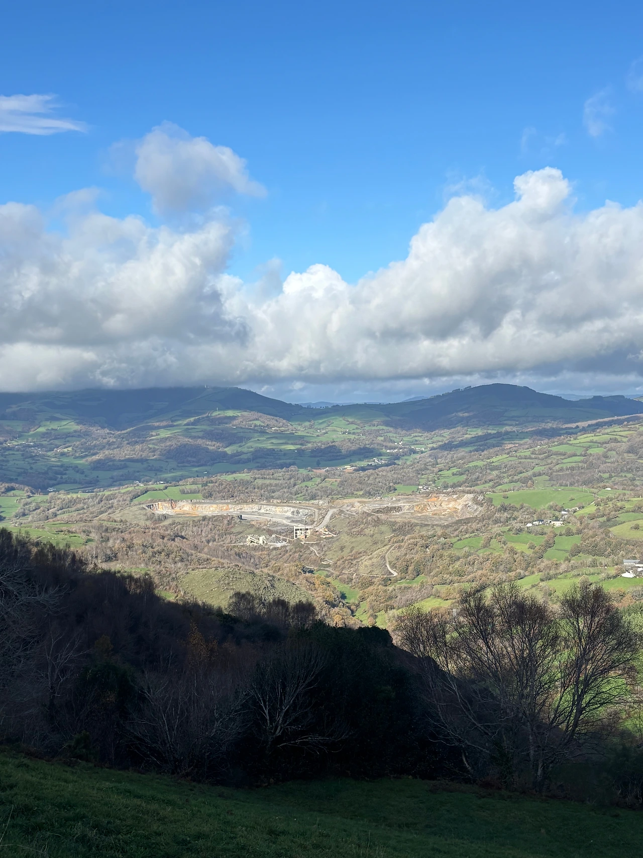 트리아카스텔라 1.jpeg