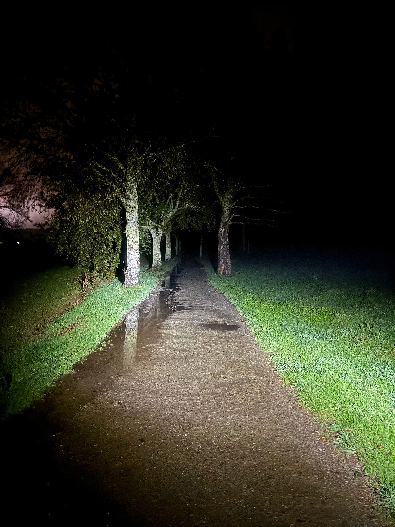 산티아고 데 콤포스텔라 1.jpeg