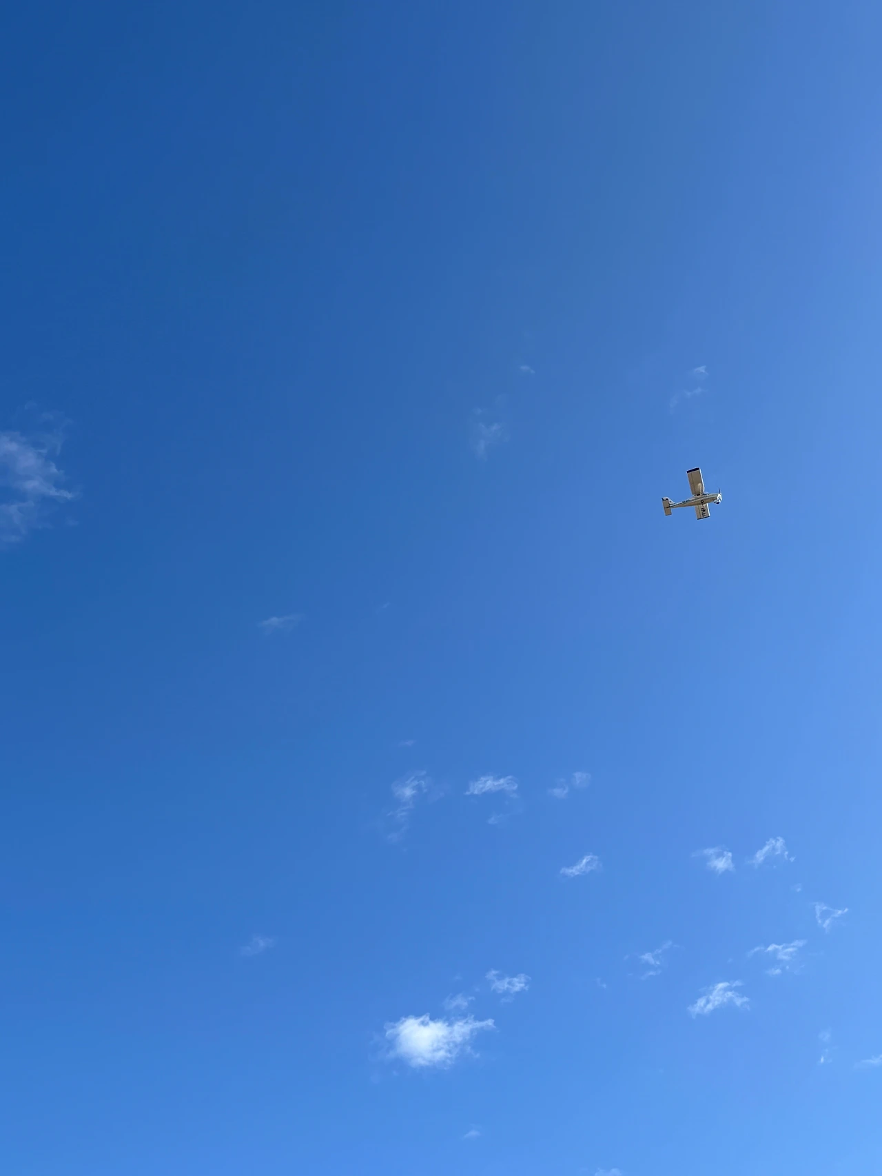 만실라 데 라스 물라스 4.jpeg