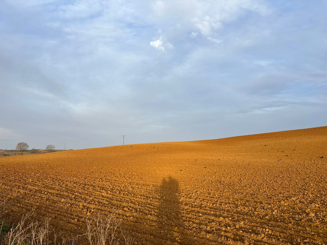 베르시아노스 델 레알 카미노 2.jpeg