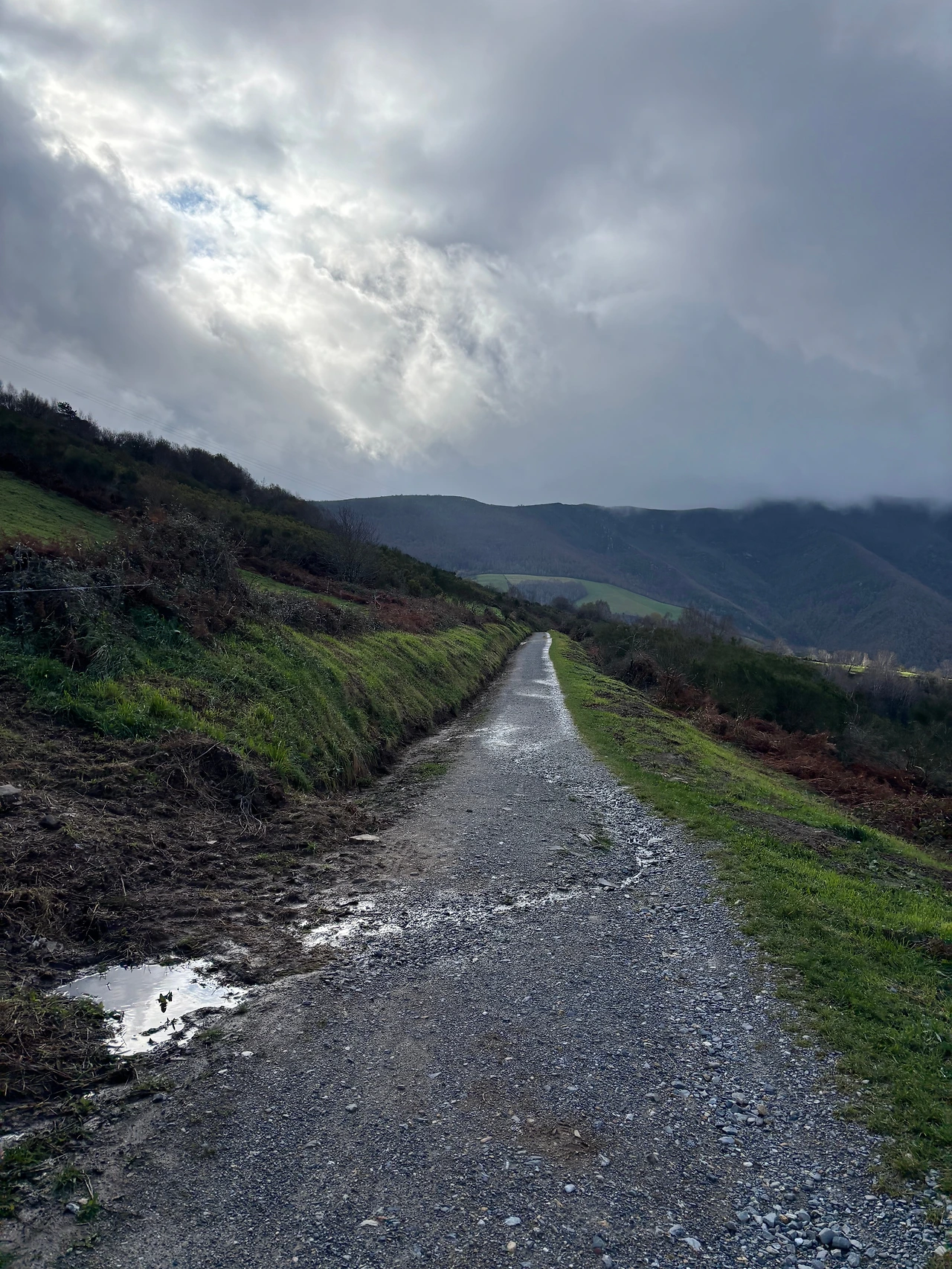 트리아카스텔라 2.jpeg