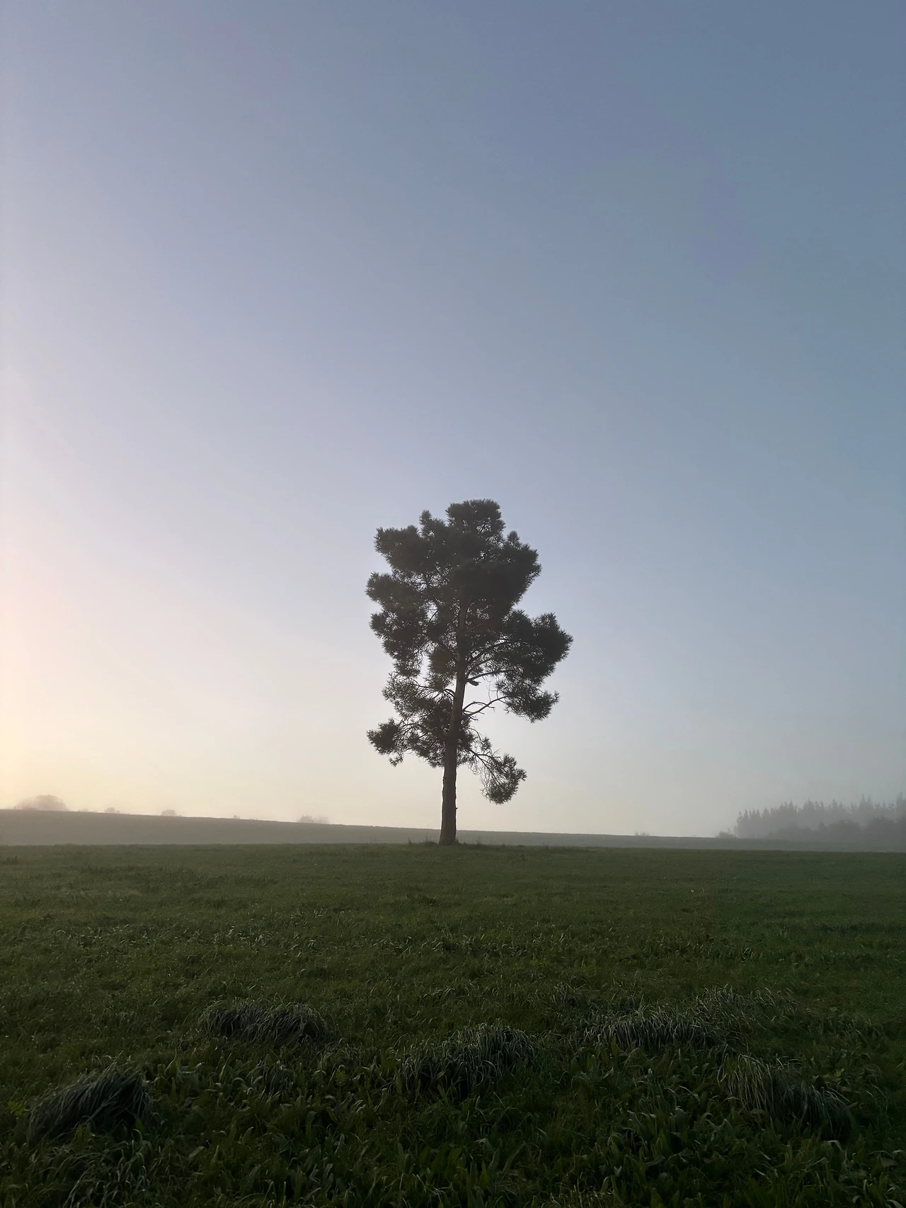 팔라스 델 레이 1.jpeg