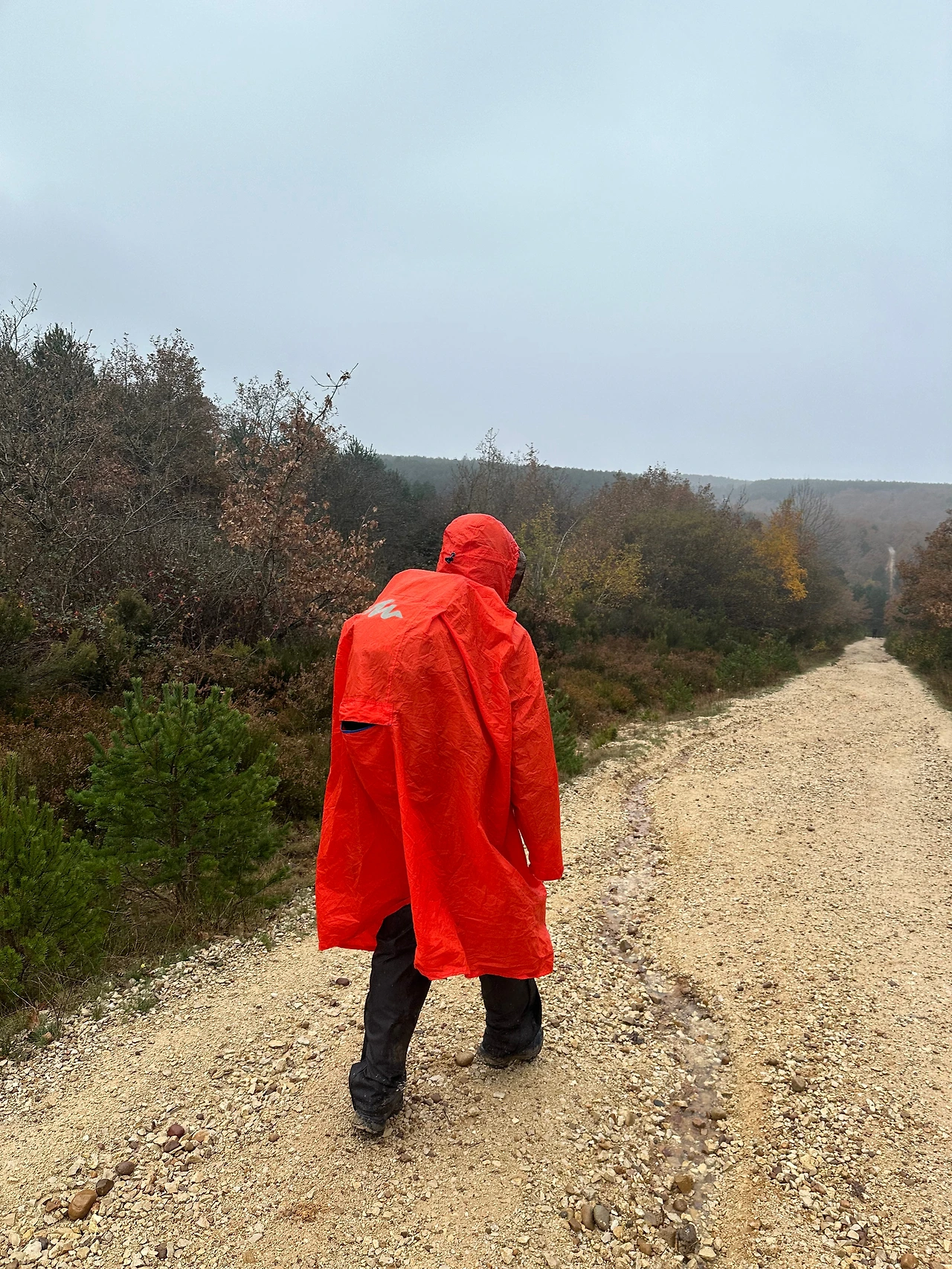 아타푸에르카 1.JPG