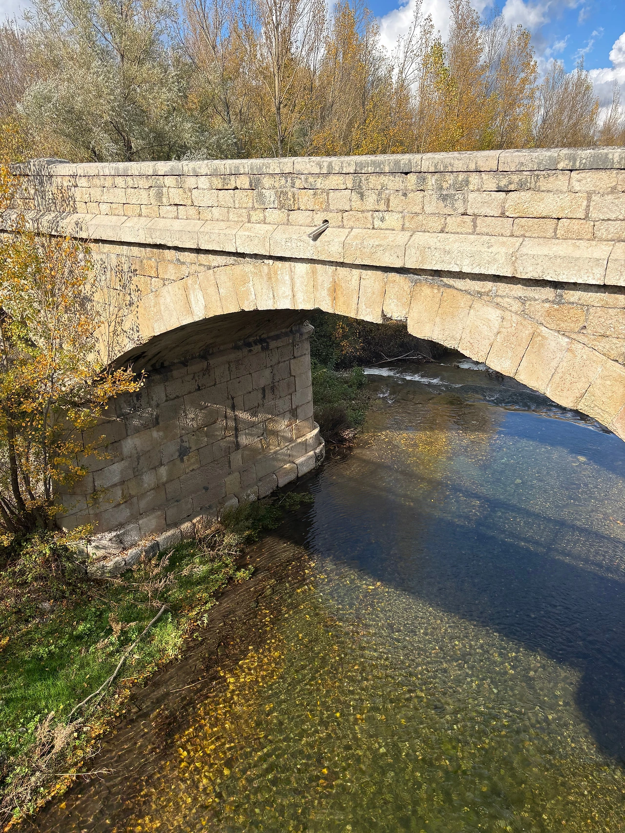 빌람비스티아 3.jpeg