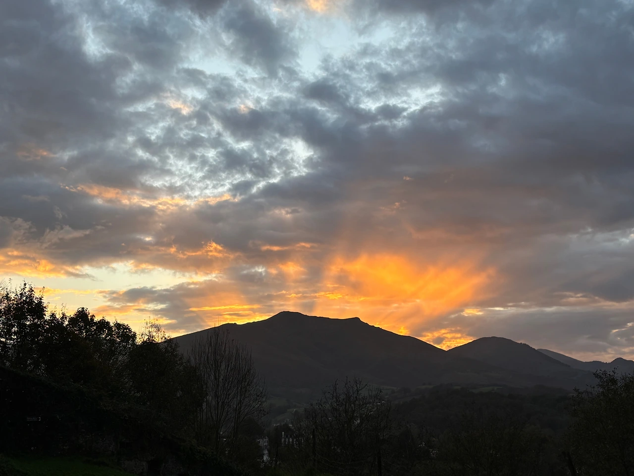 생장 4.jpeg