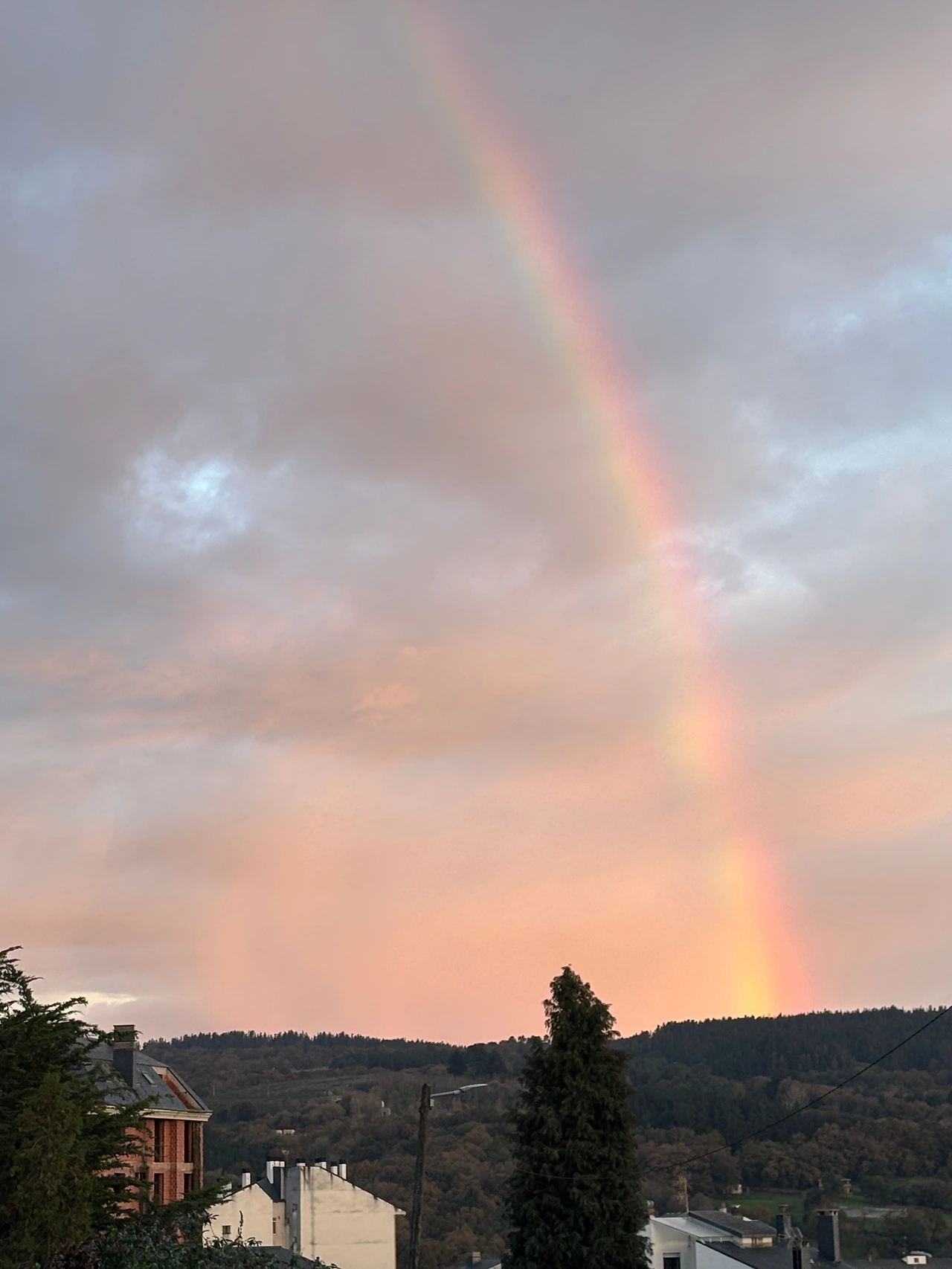 포토마린 2.jpeg