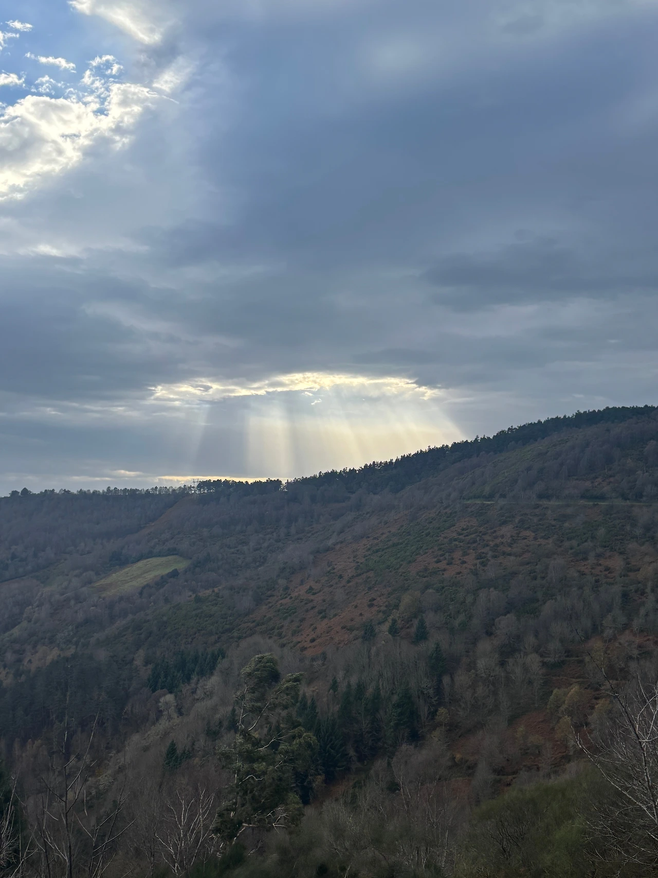 오 세브레이로 4.jpeg