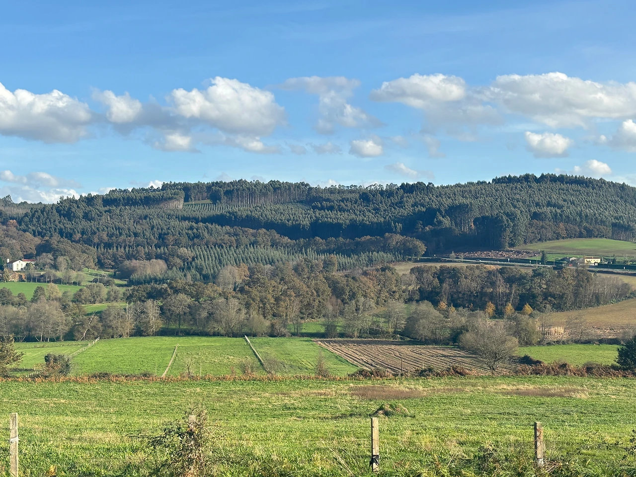 아르주아 4.jpeg