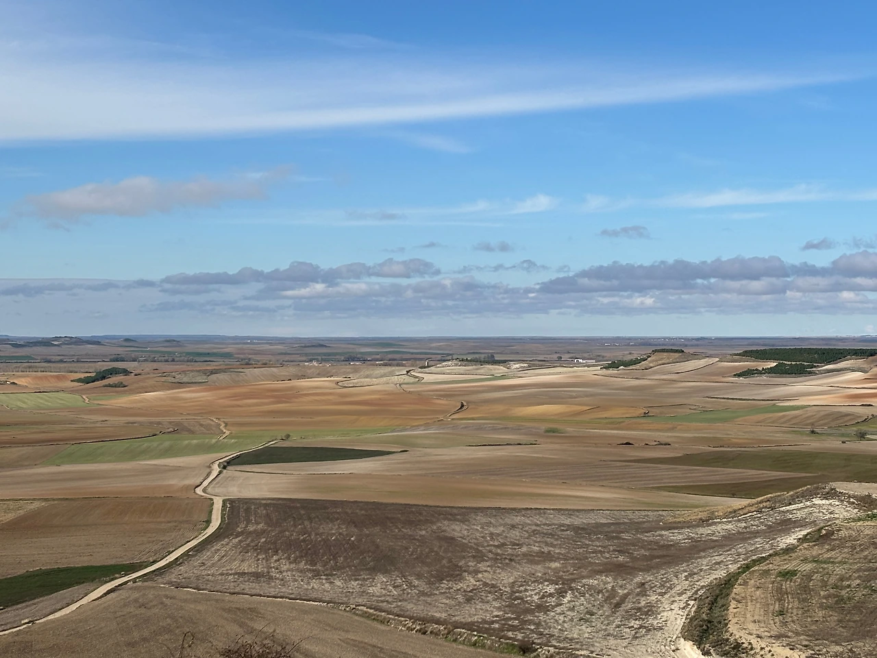 프로미스타 3.jpeg