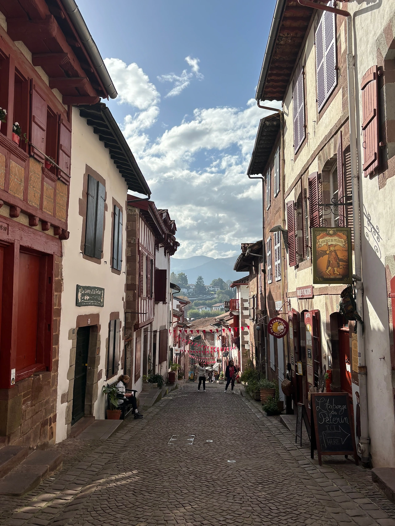 생장 1.jpeg