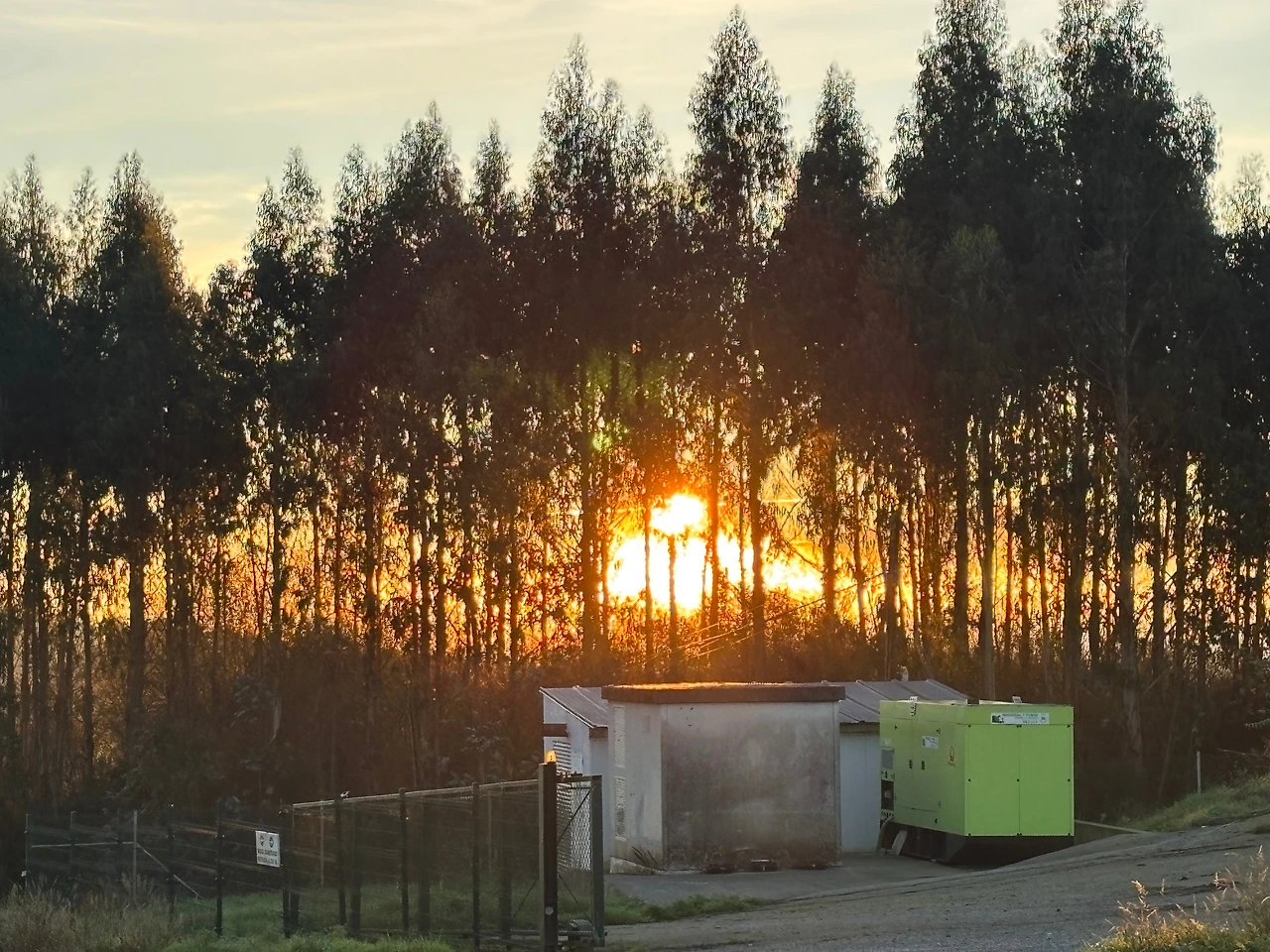 팔라스 델 레이 3.jpeg