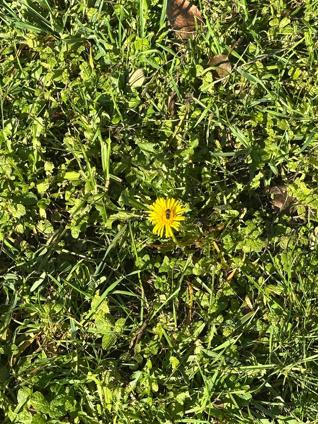 사리아 4.jpeg