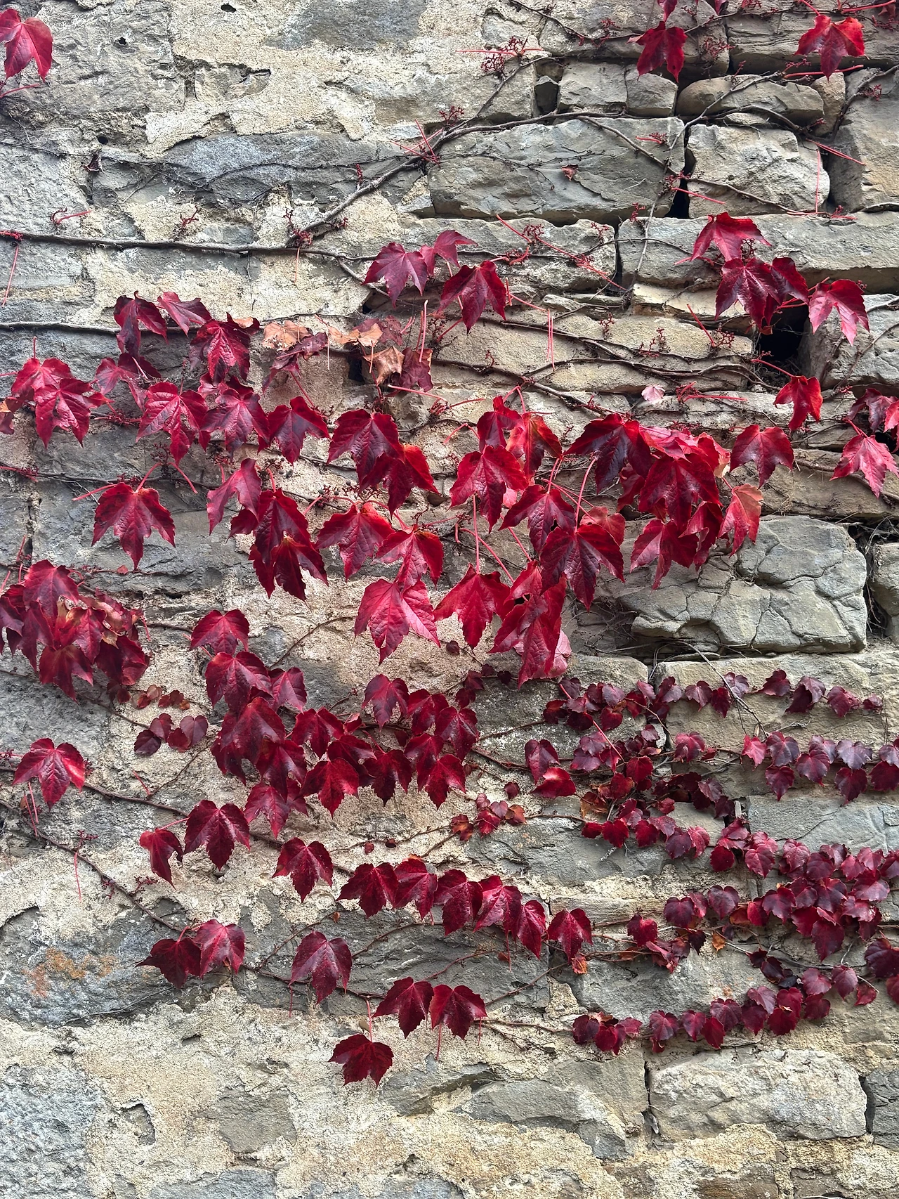 팜플로나 2.jpeg