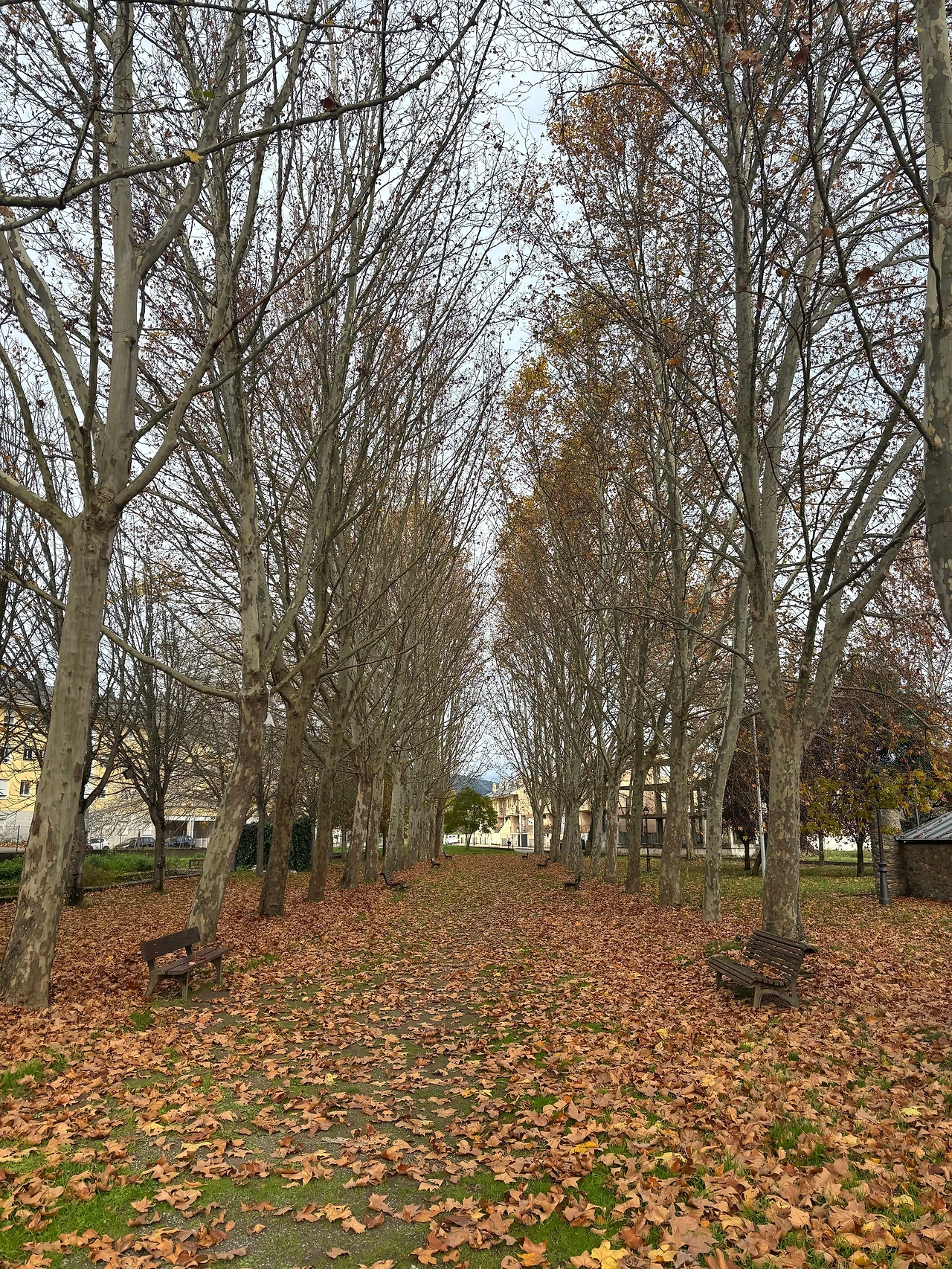 비야프랑카 델 비에르소 4.jpeg