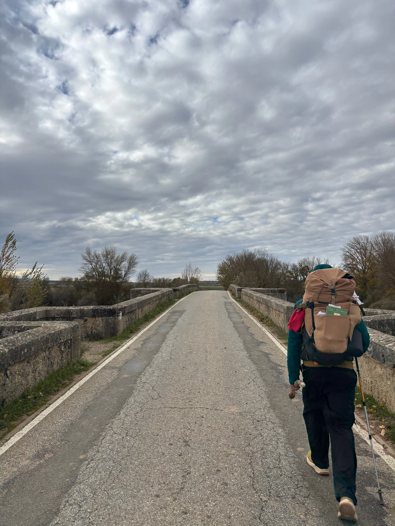 프로미스타 4.jpeg