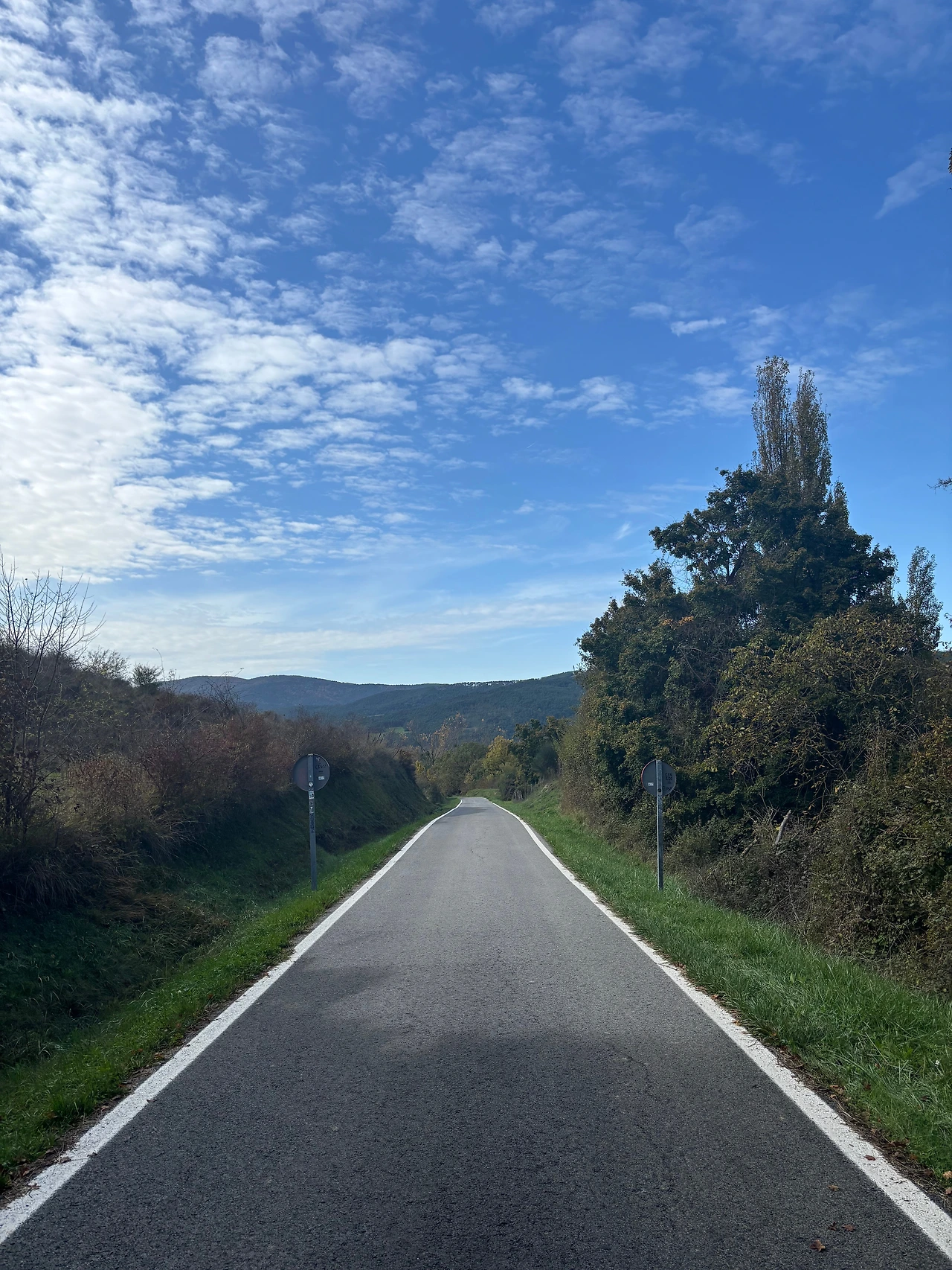 팜플로나 1.jpeg