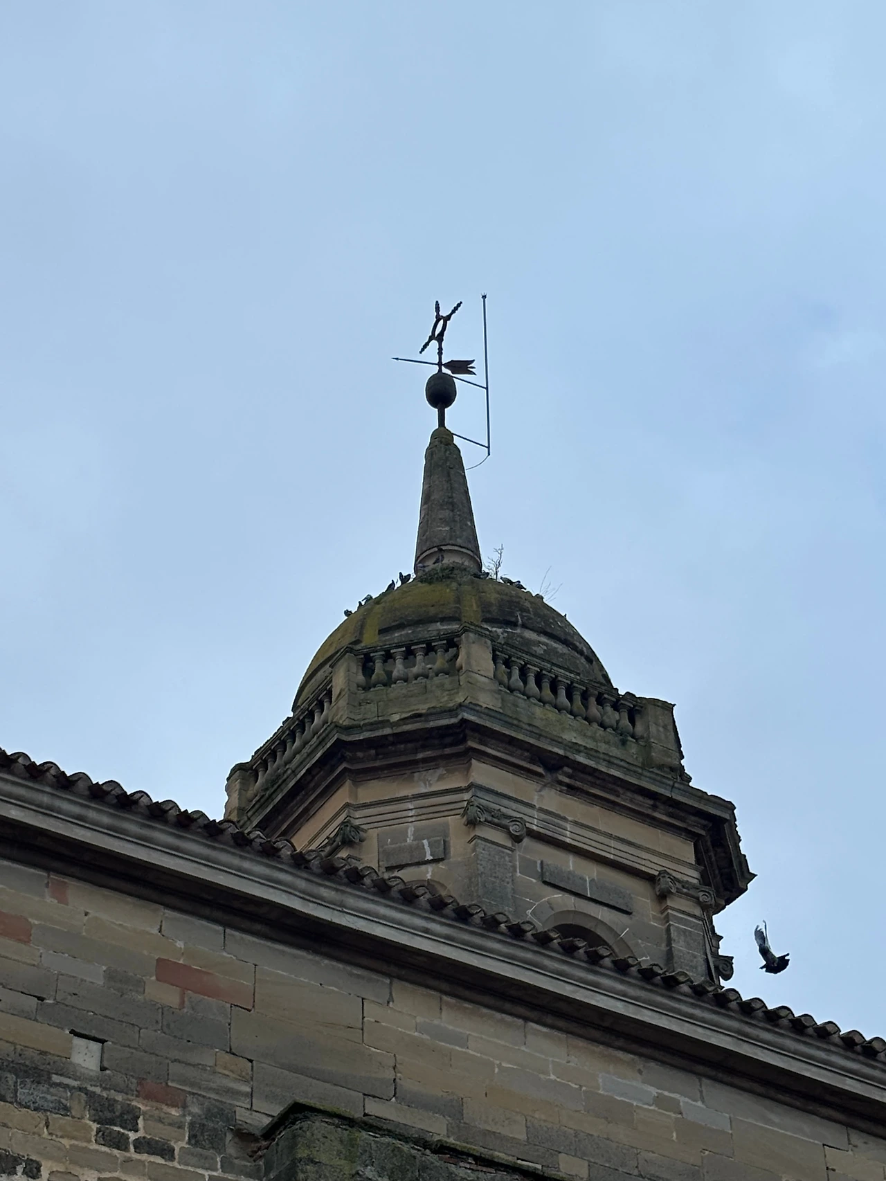 빌람비스티아 2.jpeg