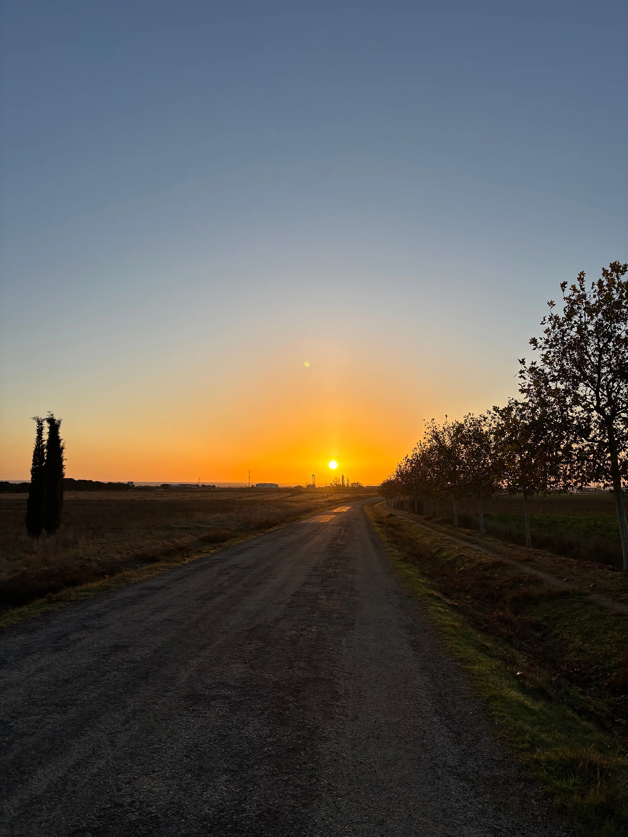 만실라 데 라스 물라스 1.jpeg