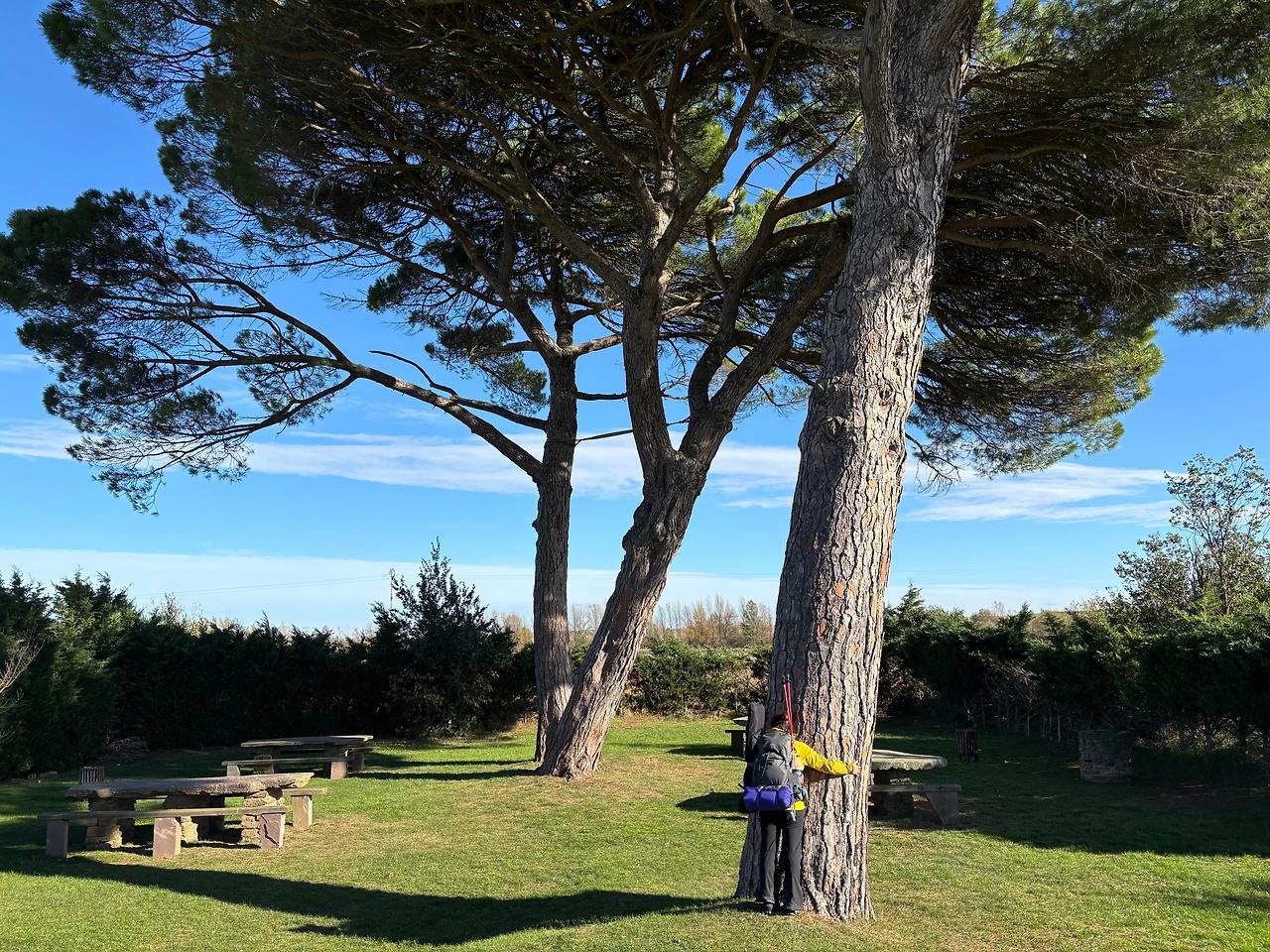 카리온 데 로스 콘데스 1.jpeg